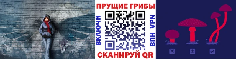 дарнет шоп  Боровск  KRAKEN ссылка  Галлюциногенные грибы ЛСД 